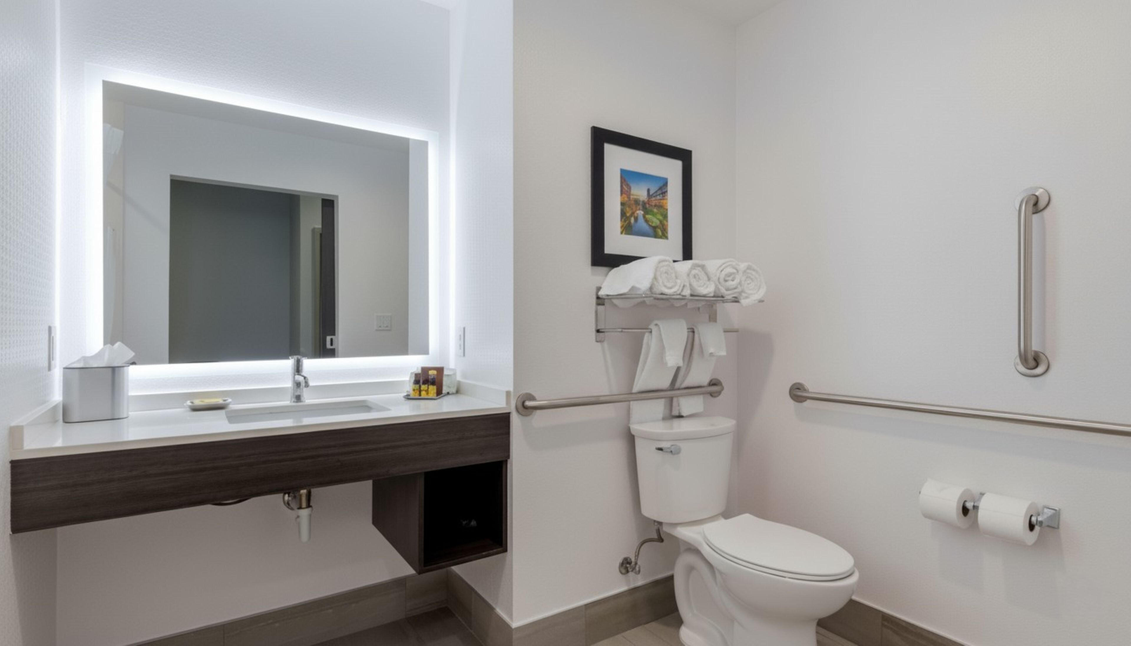 A modern bathroom with a white sink, mirror, and toilet. There are handrails for accessibility, a towel rack, and a framed picture on the wall.