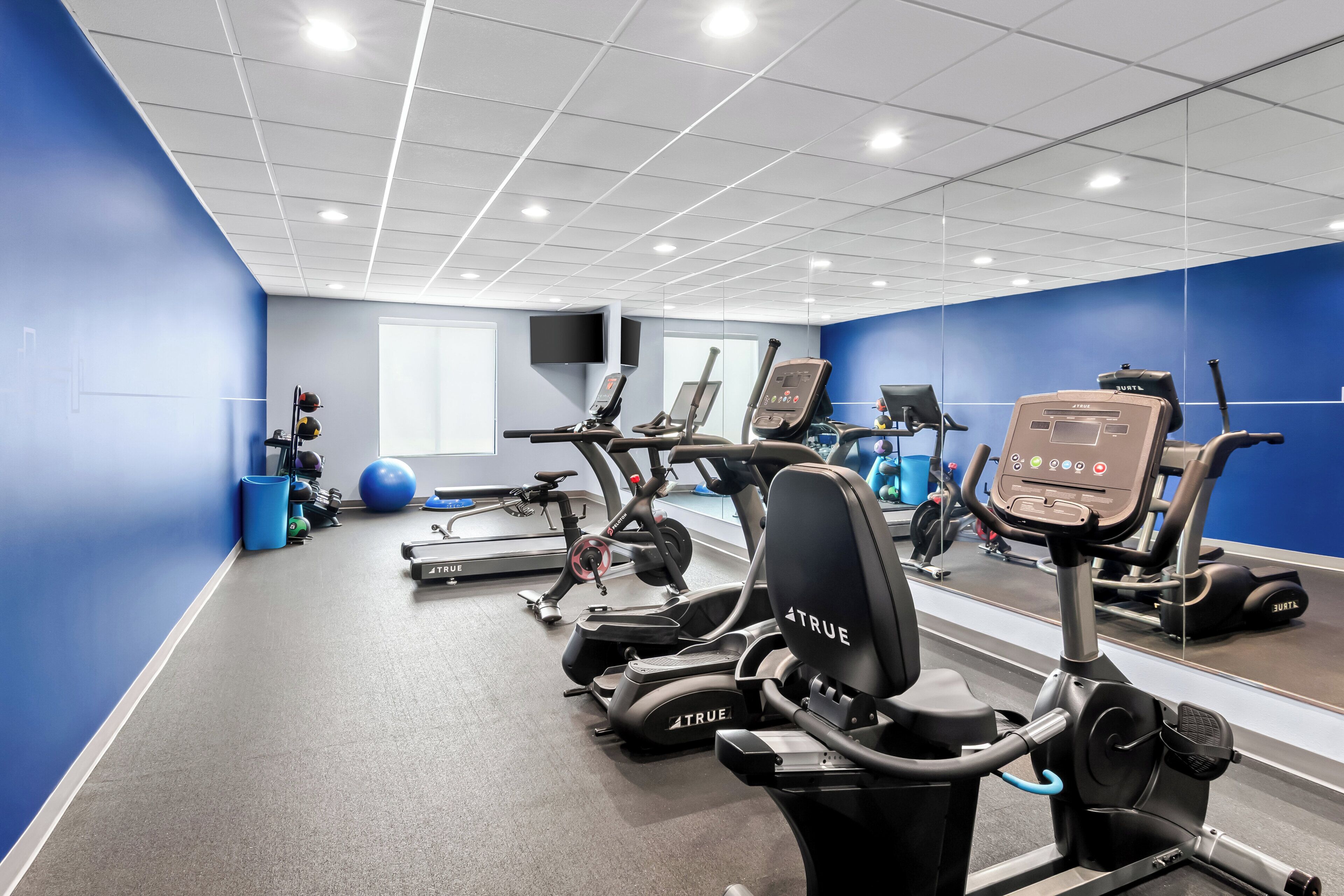 Una palestra con diverse macchine per esercizi, un grande specchio e una parete blu.