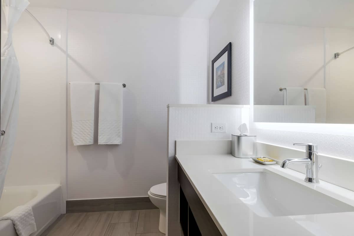 combined shower/bathtub, free toiletries, hair dryer, towels