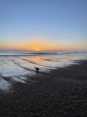 Plage à proximité