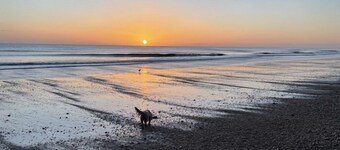 Fig Tree House, Deal, Kent