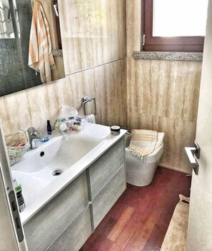 Shower, hair dryer, bidet, towels
