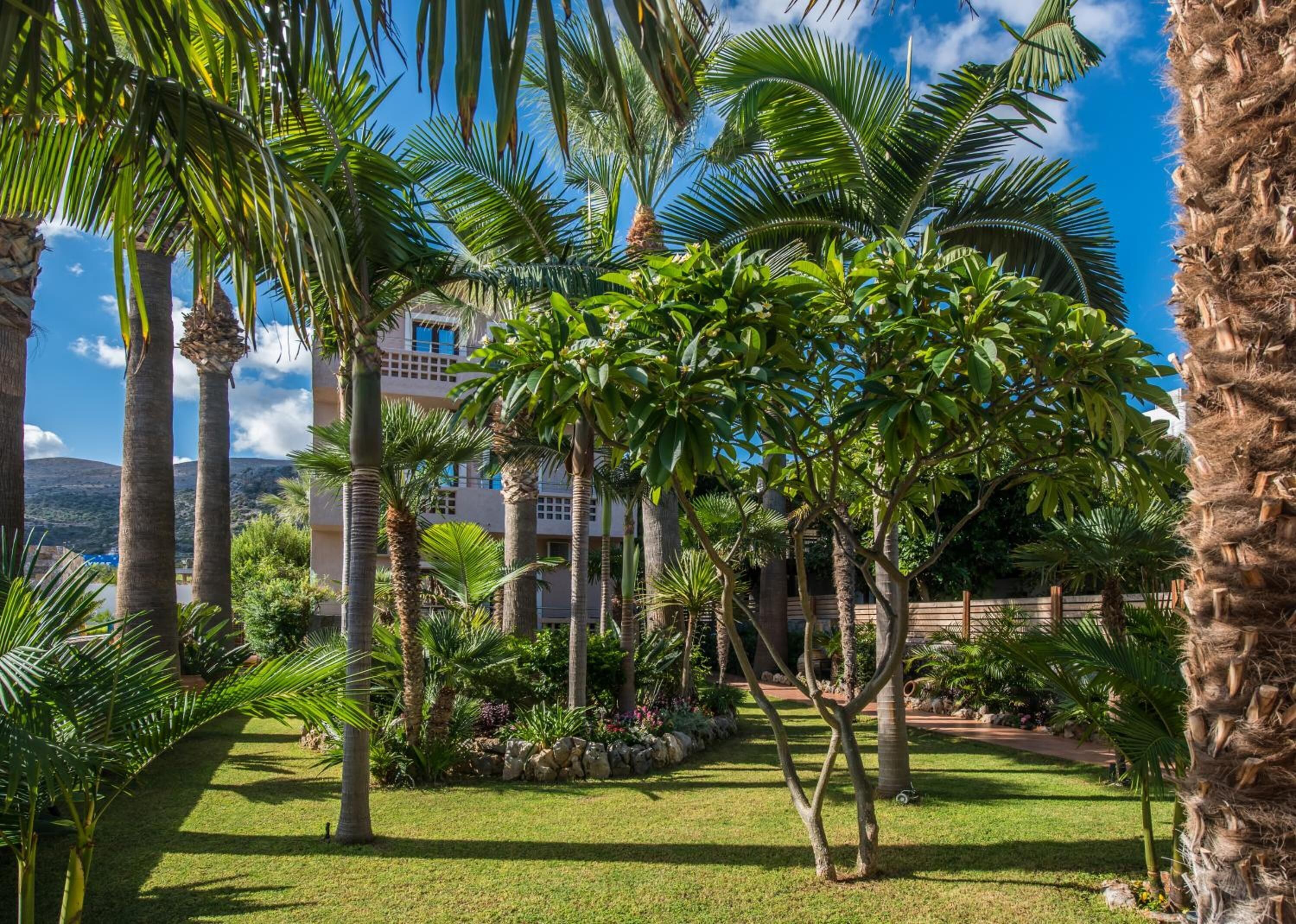 Un jardín exuberante con palmeras y un edificio al fondo.