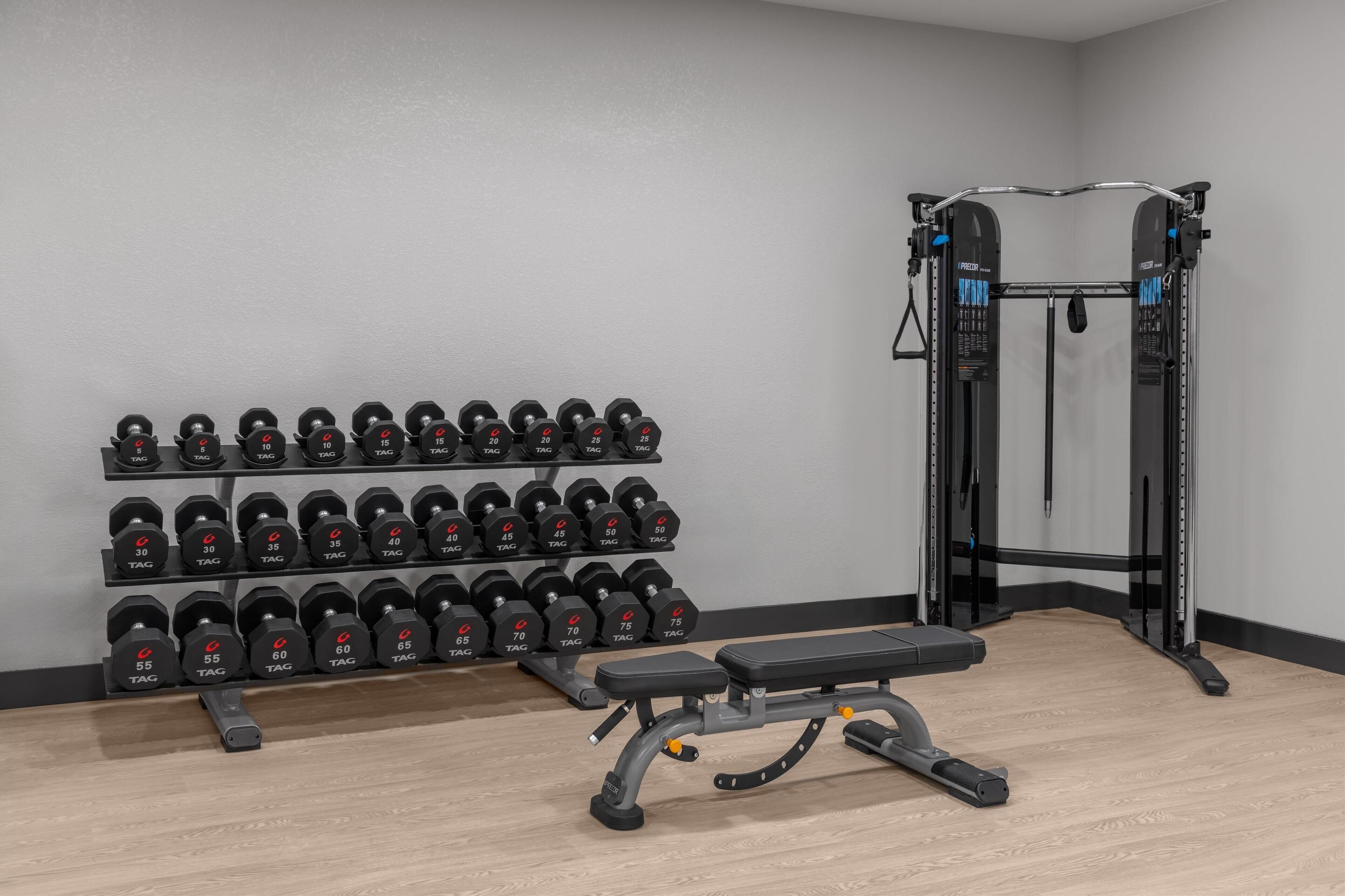 A gym with a bench, dumbbells, and a squat rack.