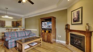 TV, fireplace