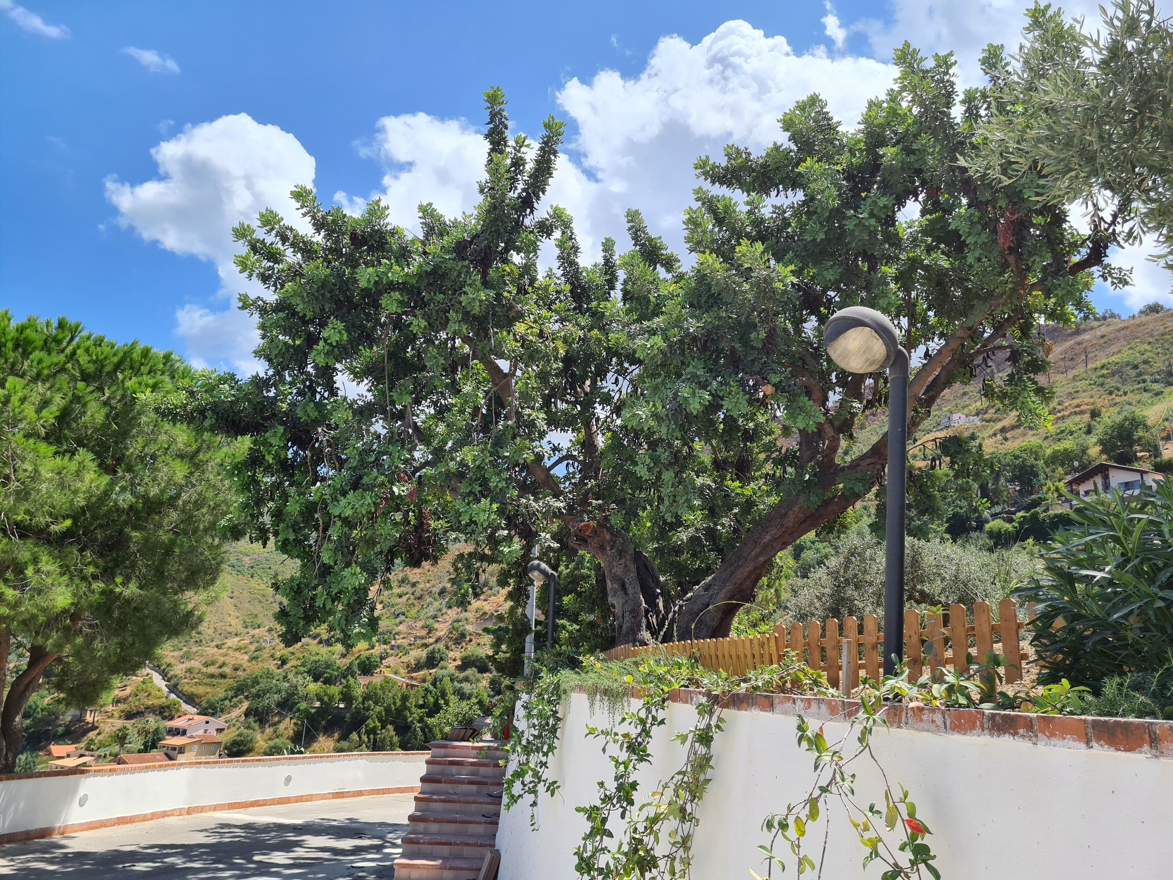 Foto - Skyview Cefalù