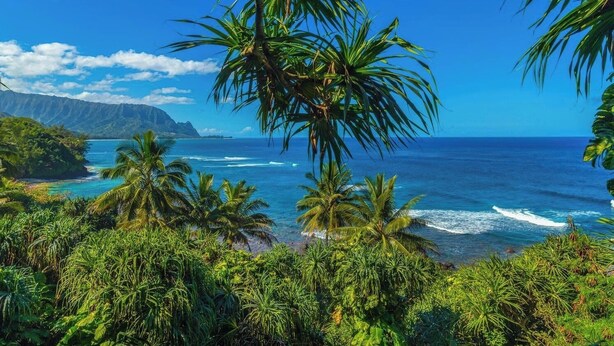 Una playa tropical con palmeras, olas del océano y un paisaje montañoso al fondo.