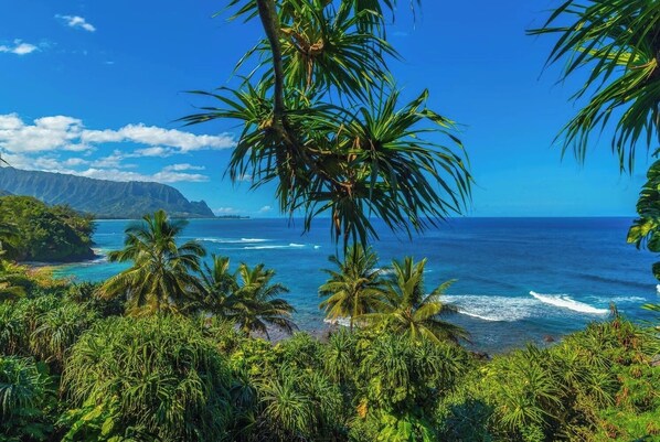 Une plage tropicale bordée de palmiers, avec les vagues de l’océan et une chaîne de montagnes en arrière-plan.