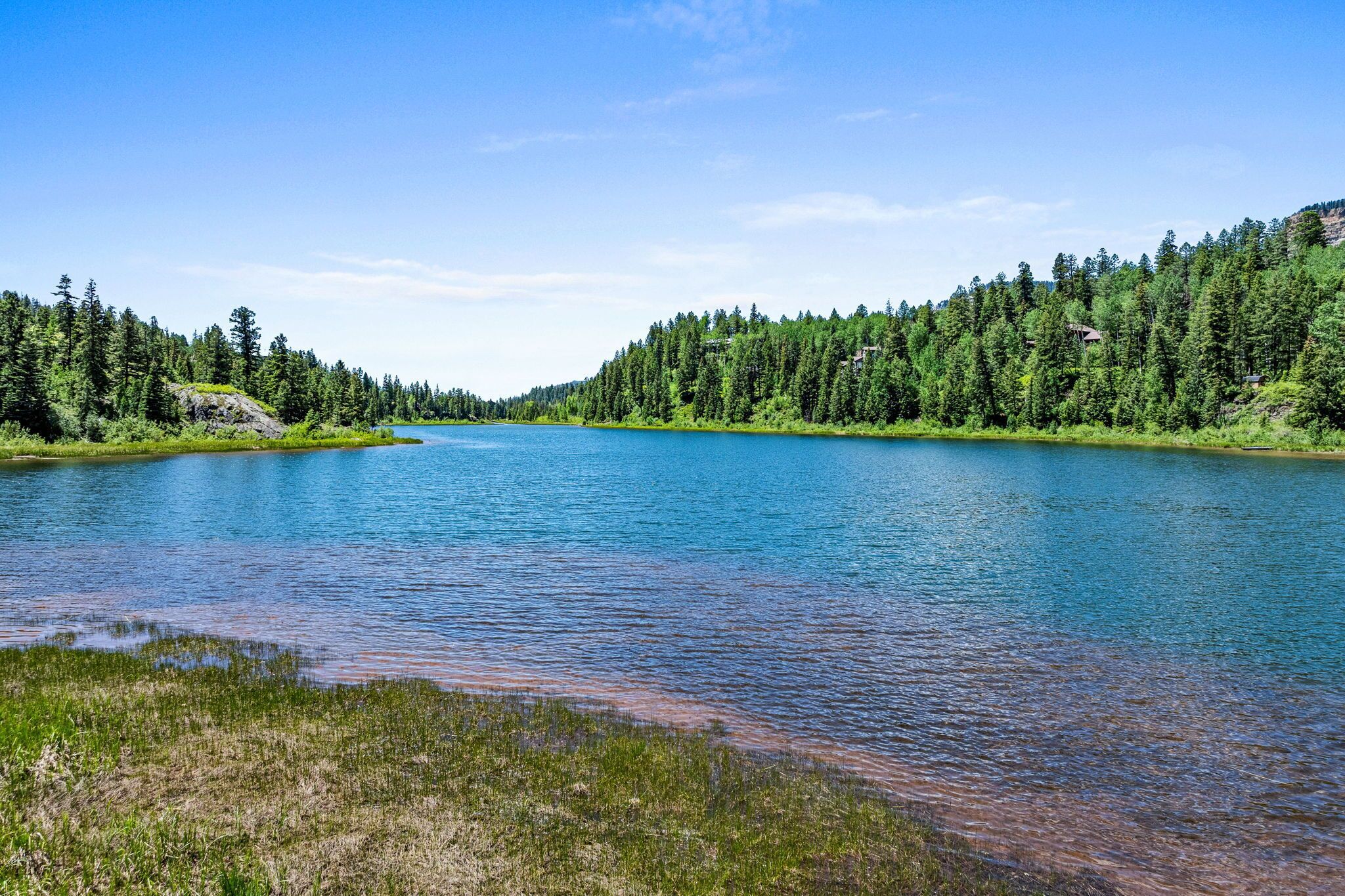 A calm lake surrounded by dense forest and a clear sky.