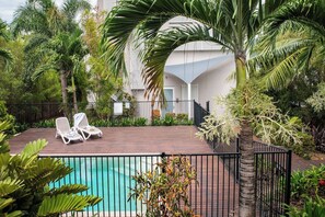 A pool area with lounge chairs and a palm tree.