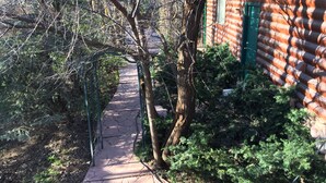 A narrow stone pathway leading to a log cabin with a green door, surrounded by dense foliage and trees. - 10 minutes to Slopes! Wild Turkey Lodge & Farm BnB, A 5-star traveler's dream! (Huntsville)