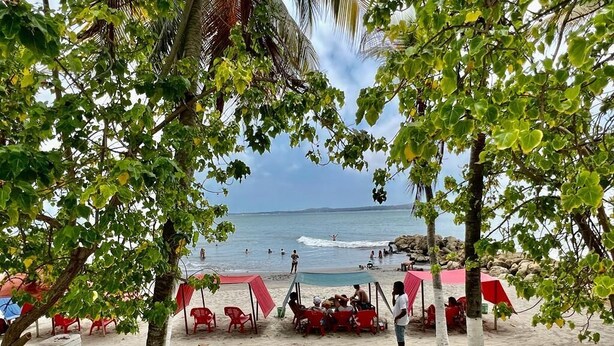 Une plage bordée de palmiers, avec des chaises rouges et un espace ombragé où se trouvent des personnes.