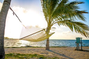 A hammock tied to a palm tree on a beach with a view of the ocean.
