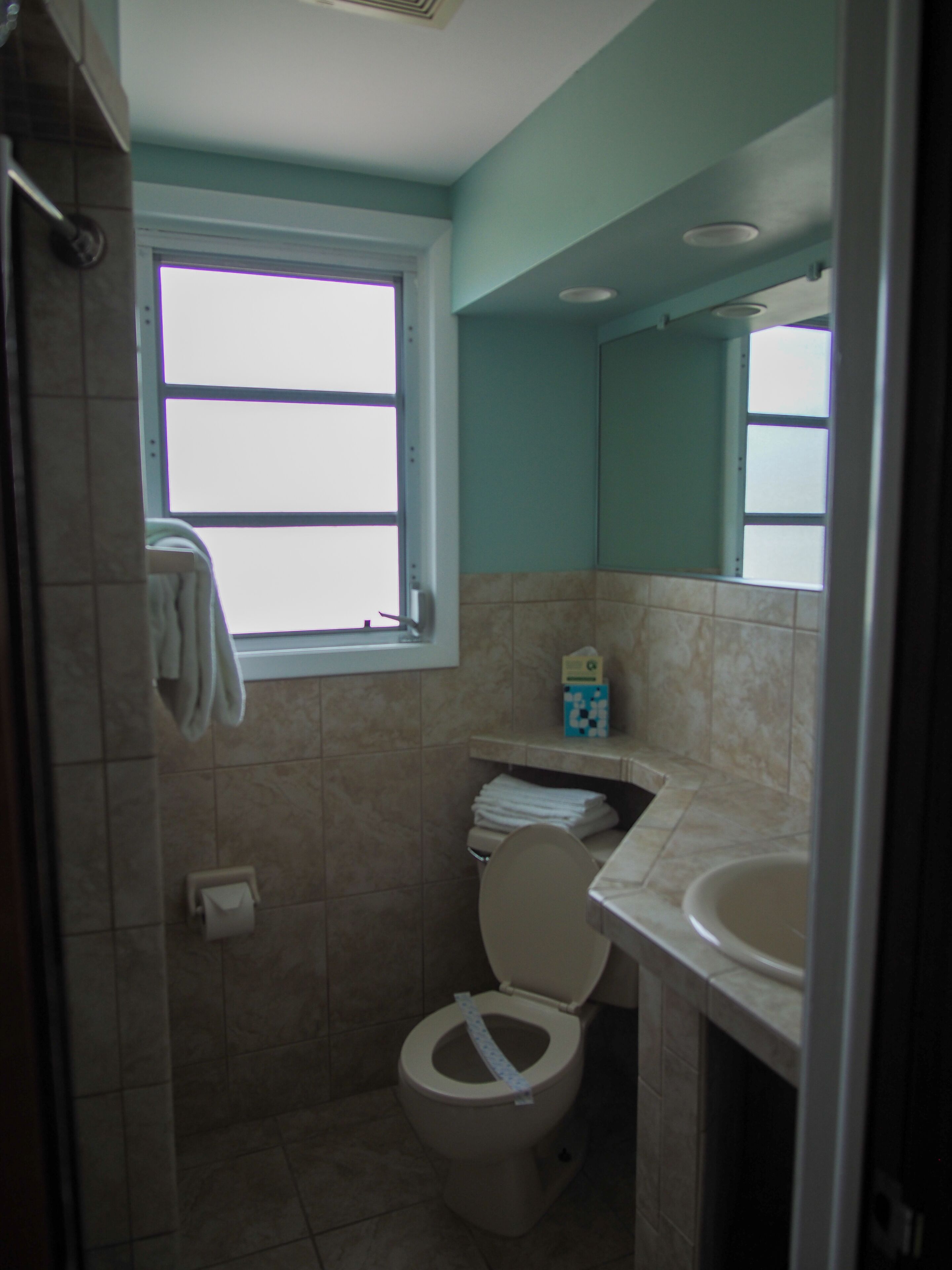 A bathroom with a toilet, a sink, a window, and a mirror.