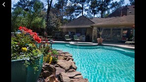 Pool - Houston Hidden Oasis (Spring)
