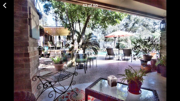 An outdoor patio area with seating, potted plants, and a view of the surrounding trees and landscape. - Houston Hidden Oasis (Spring)