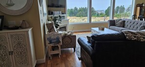 Smart TV, fireplace, video games, DVD player