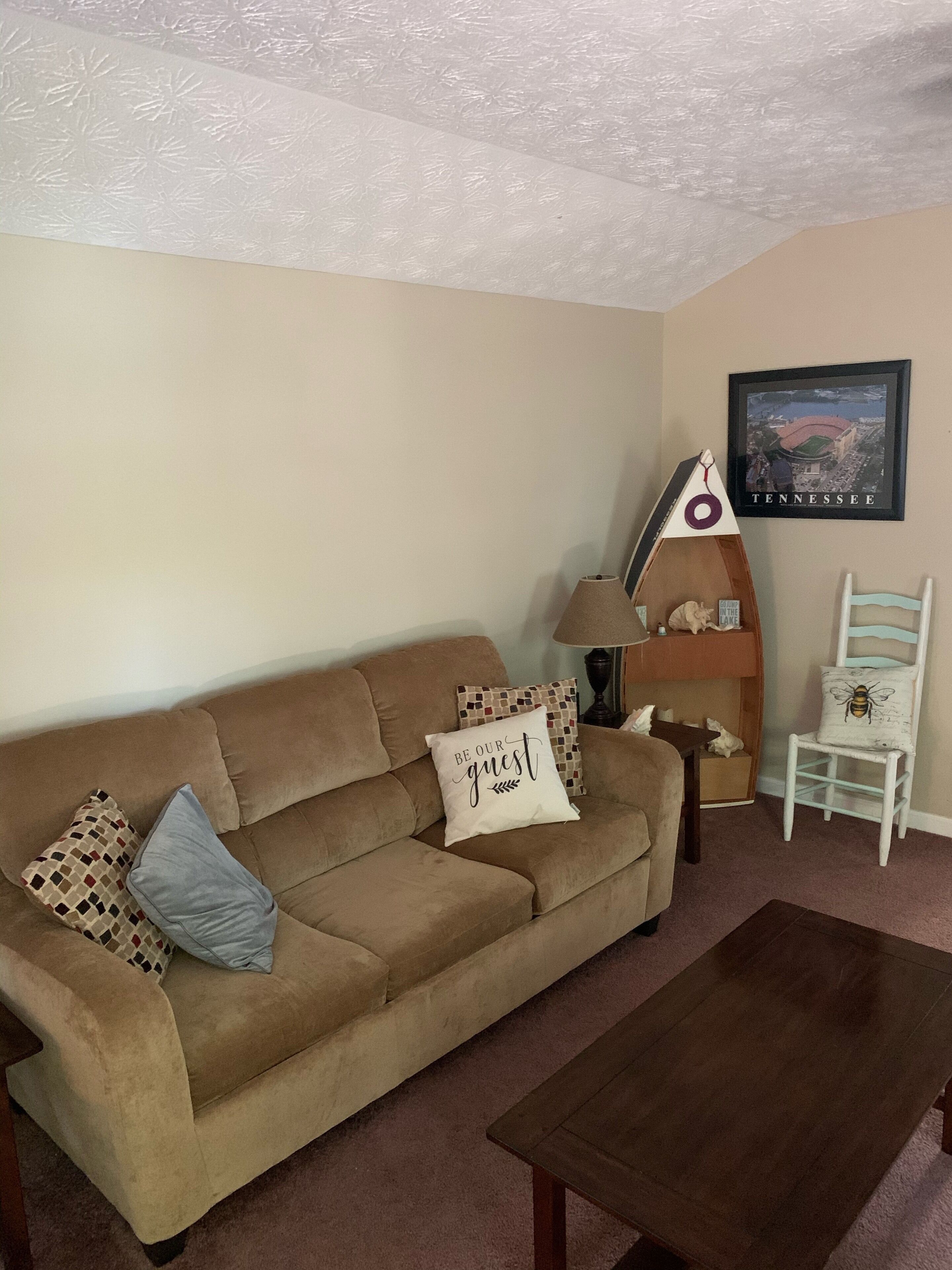 TV, DVD player, video library