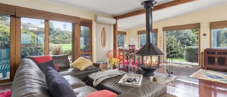 电视、壁炉、DVD 播放器、书