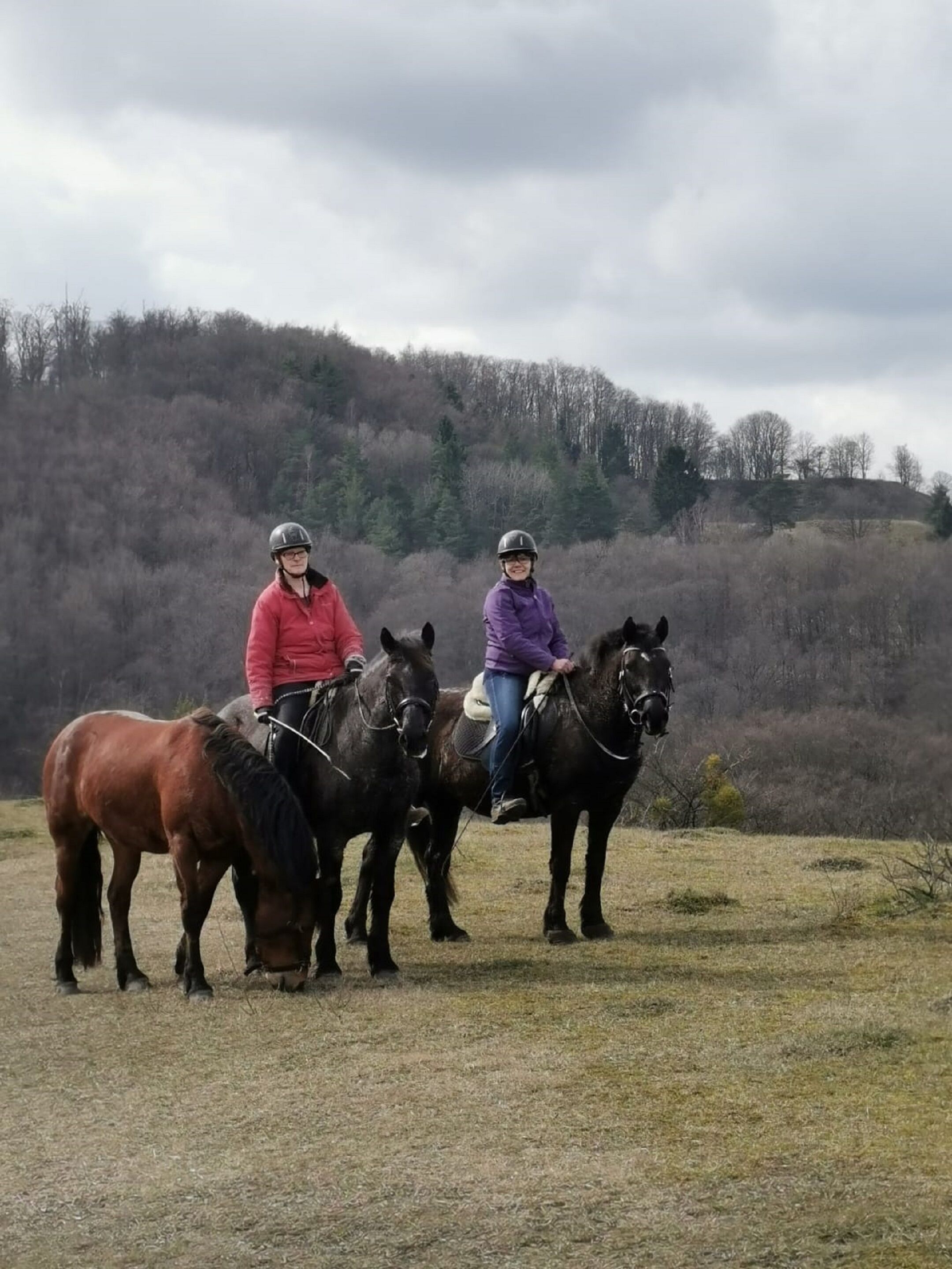 Three people riding horses in a grassy field with a forested hill in the background.