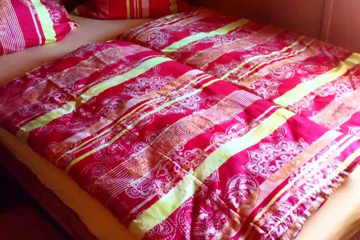 A bed with a red and white patterned bedspread, a pillow, and a framed picture on the wall.