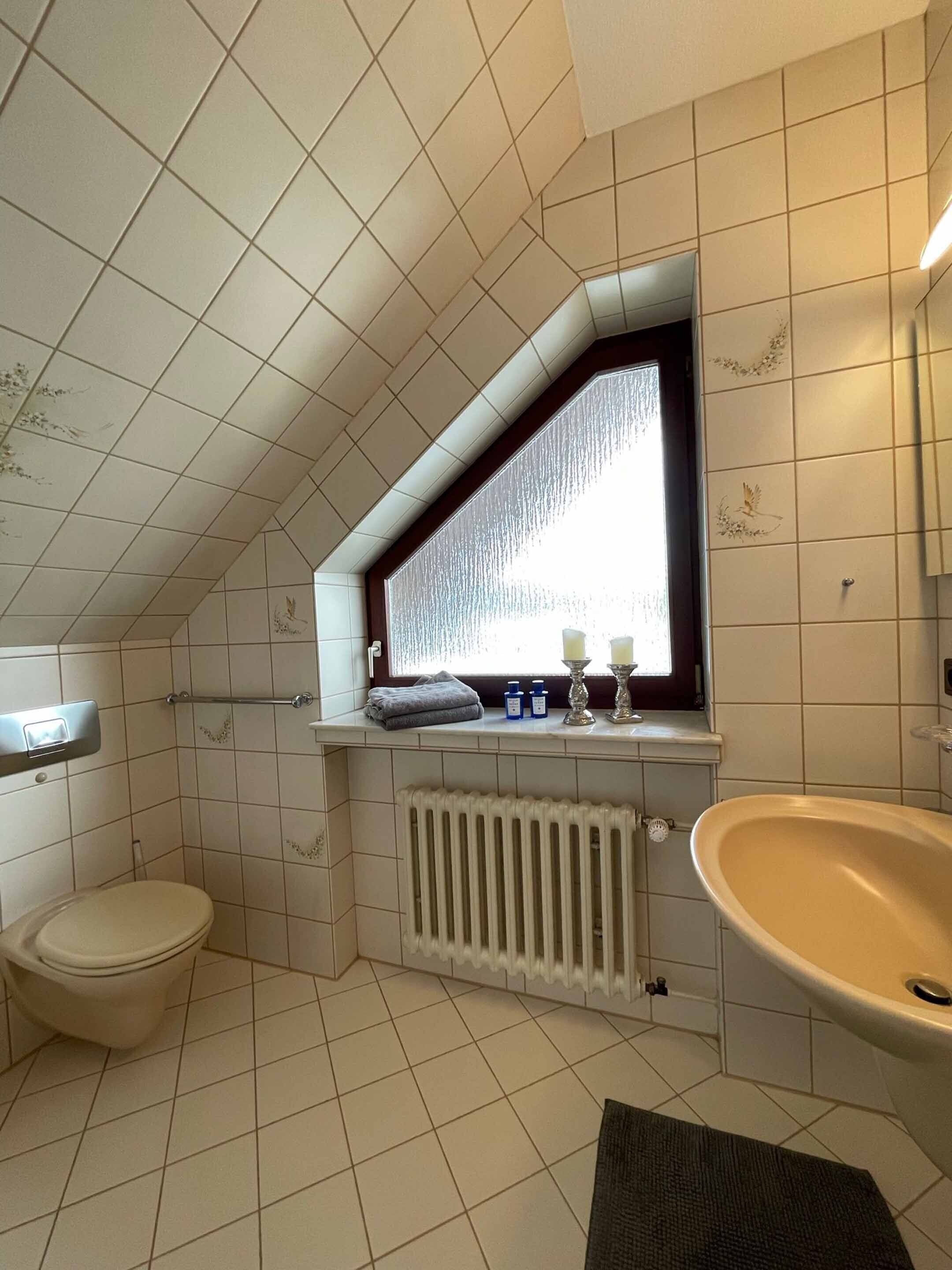 A bathroom with a toilet, a sink, a window with a view, and a radiator.