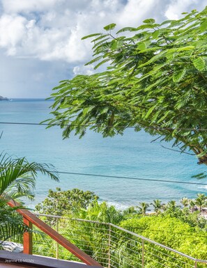 Property grounds - Amazing getaway in Pointe Milou (Pointe Milou)