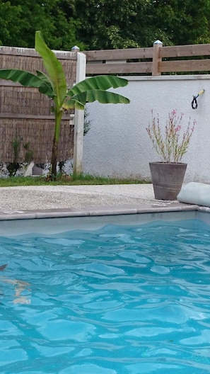 Kolam renang