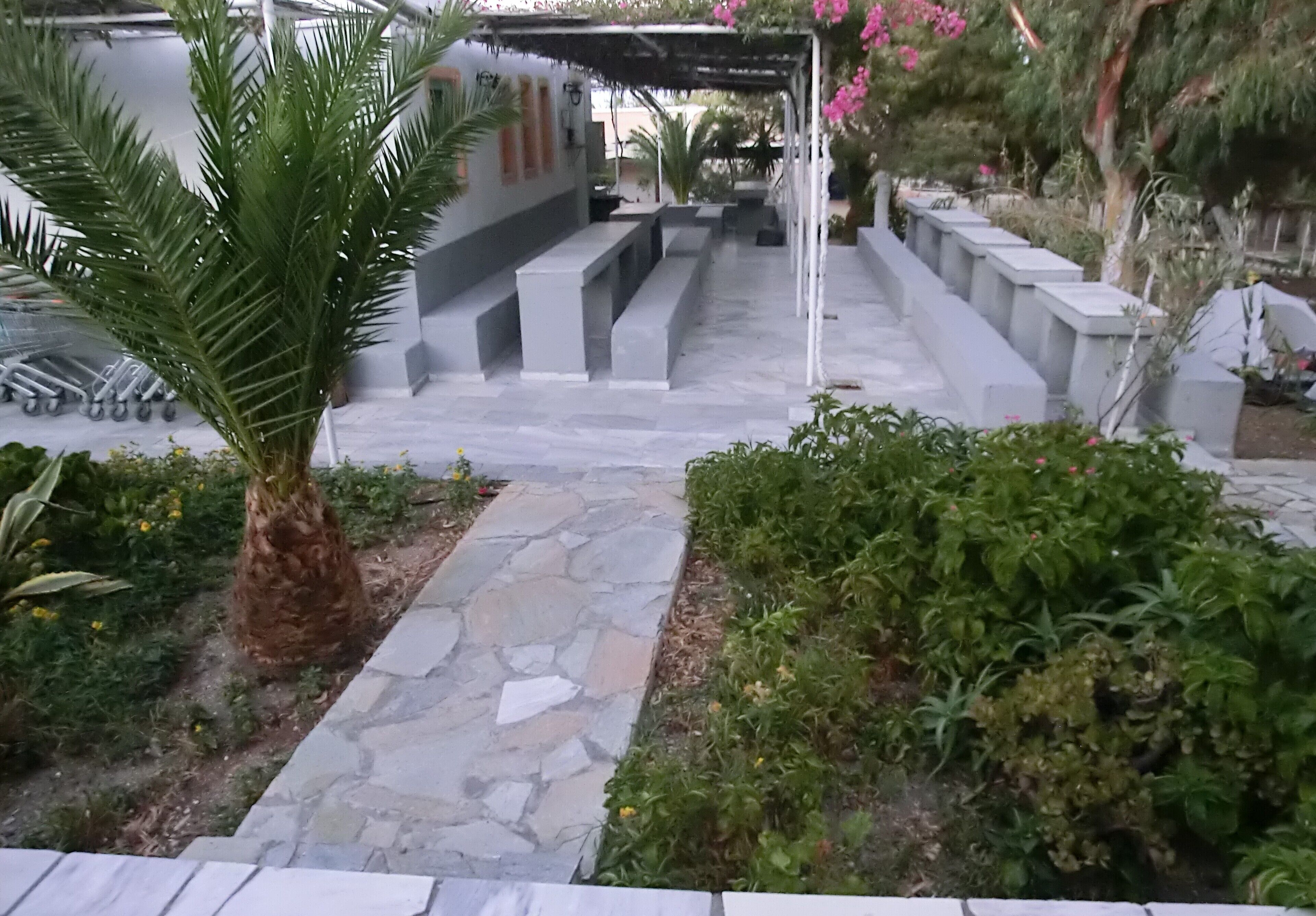 A stone pathway leading to a covered seating area with benches and a palm tree.