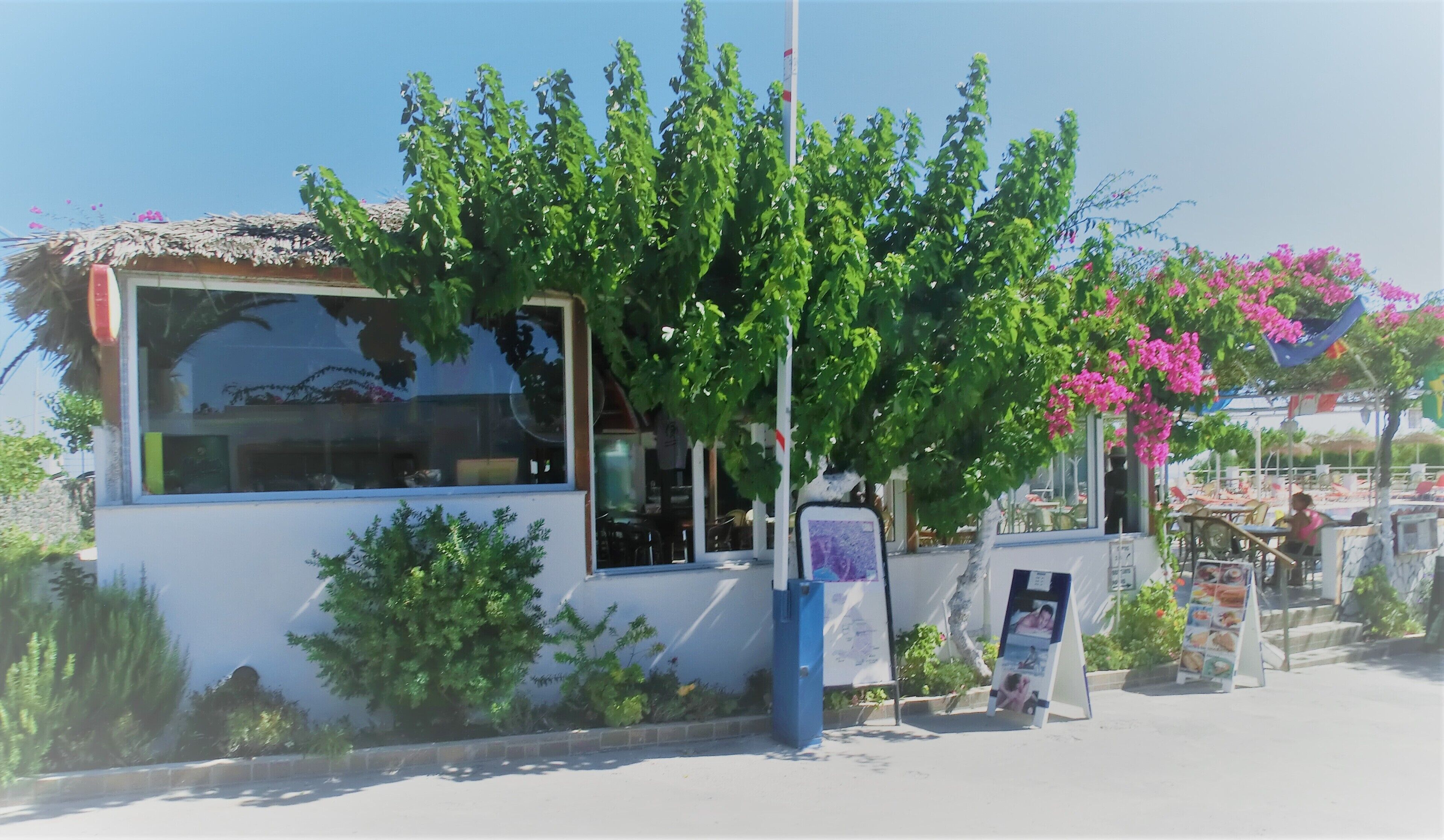 Photo - Santorini Camping & Hostel