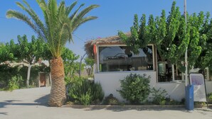 A small, single-story building with a thatched roof, surrounded by greenery and palm trees. - Santorini Camping & Hostel (Santorini)
