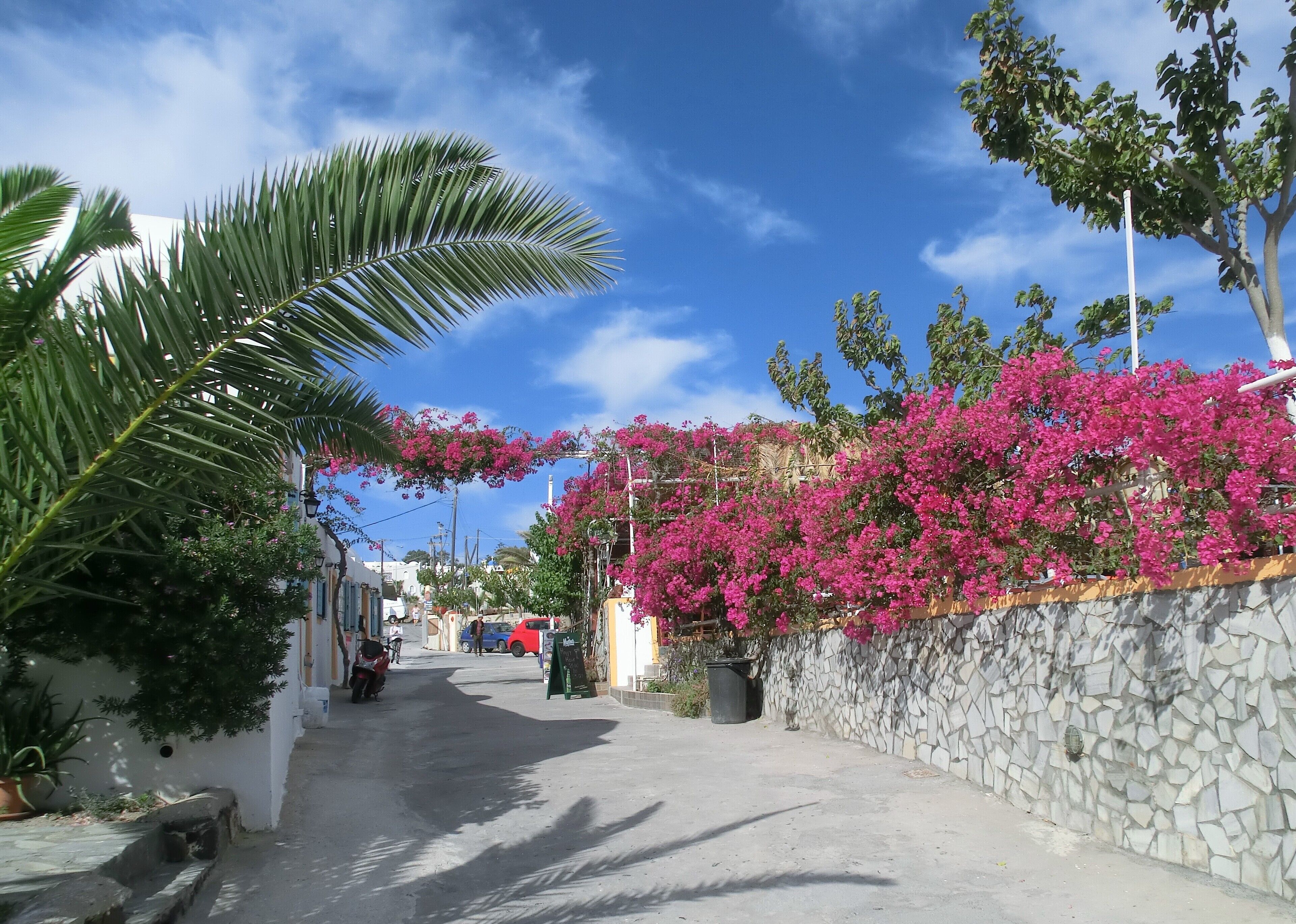 Photo - Santorini Camping & Hostel
