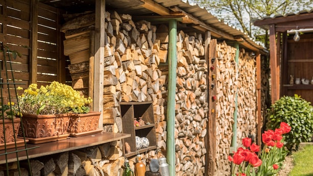 Un edificio rústico con pared de piedra, estantes de madera y una planta en maceta.