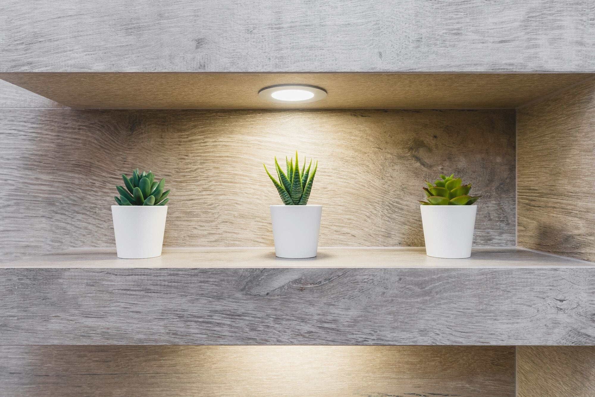 Appartement Deluxe | Coin séjour | TV connectée de 50 pouces avec chaînes numériques, télévision