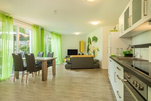 Fridge, microwave, oven, stovetop - Charming Holiday Apartment "Jasmin" with Large Terrace, Wi-Fi & TV (Sipplingen am Bodensee)