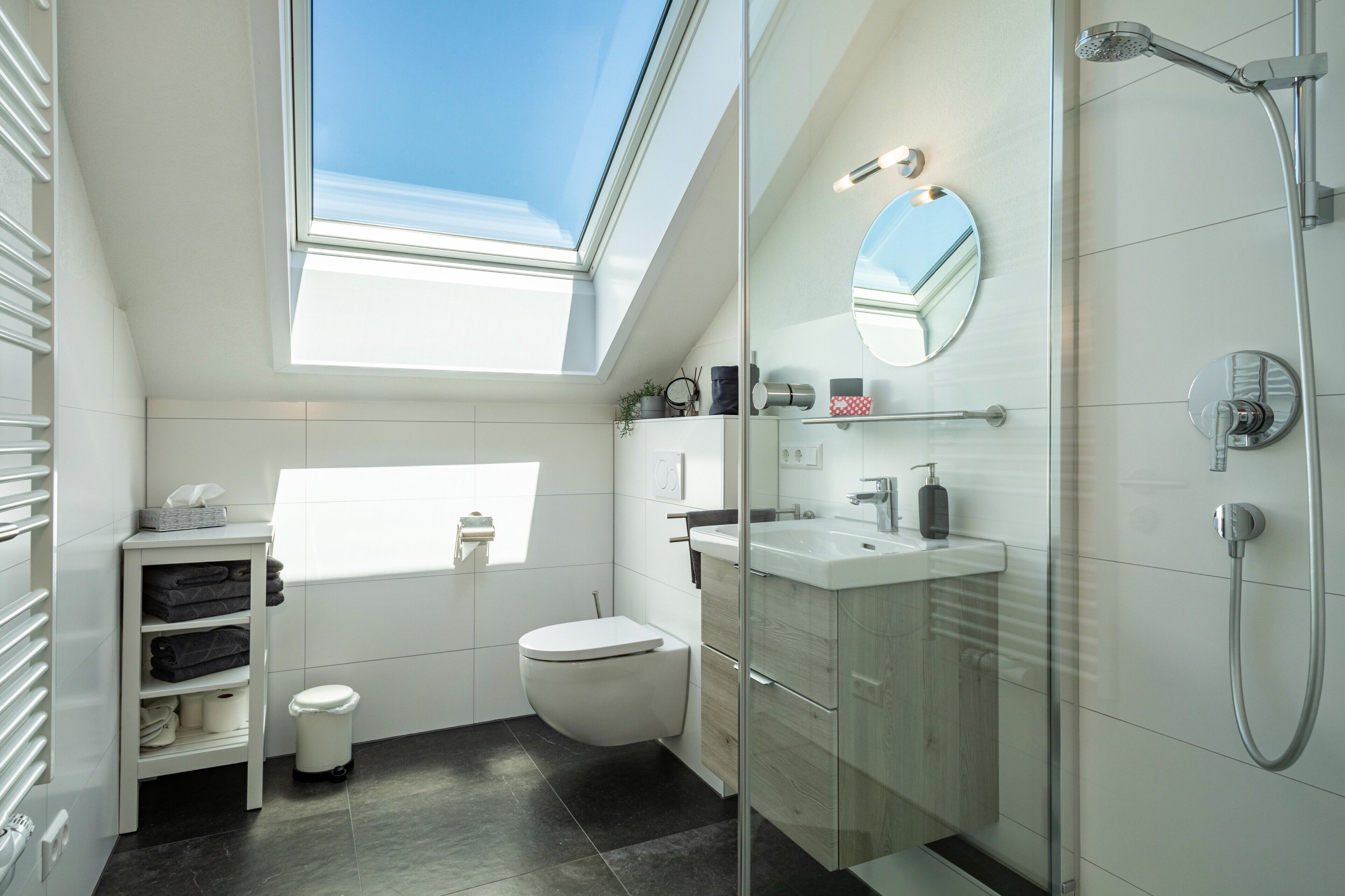 Shower, hair dryer, towels