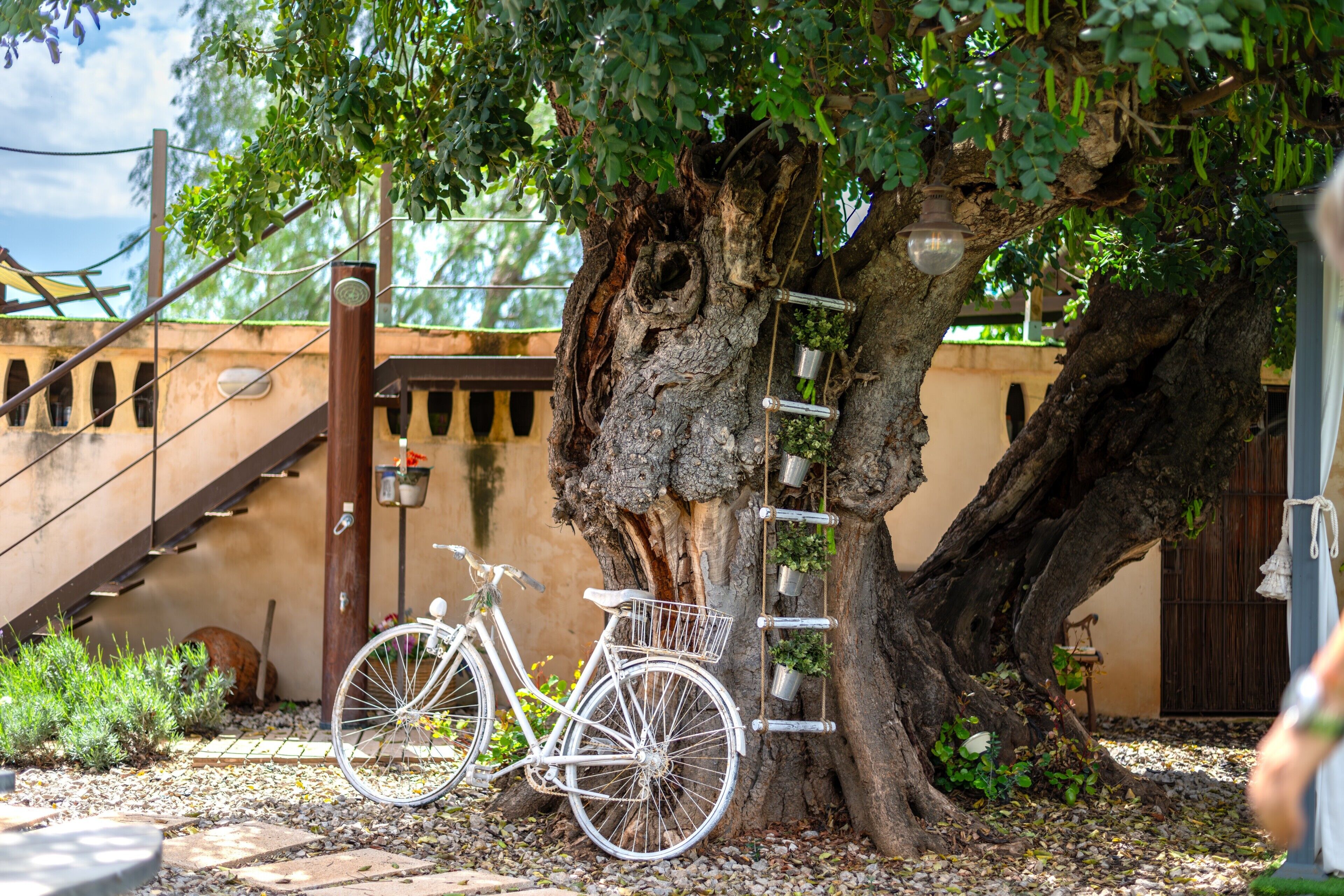 Overnattingsstedets uteområder