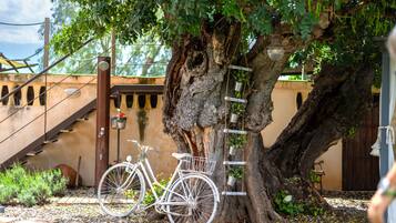 Terrein van de accommodatie