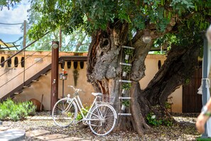 Overnatningsstedets område