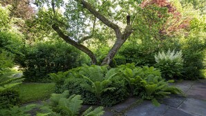 A garden with a stone pathway, lush greenery, and a large tree. - Ferienwohnungen Mittermurnthal (Neunburg vorm Wald)