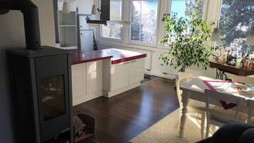 Apartment | Living area | TV, fireplace, DVD player
