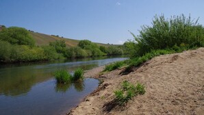 Une rive de rivière avec une zone sablonneuse et une végétation verdoyante.