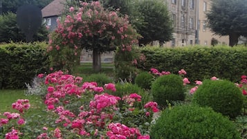 Jardín