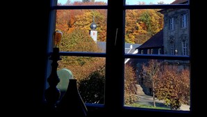 Una ventana con vista a un edificio y árboles.