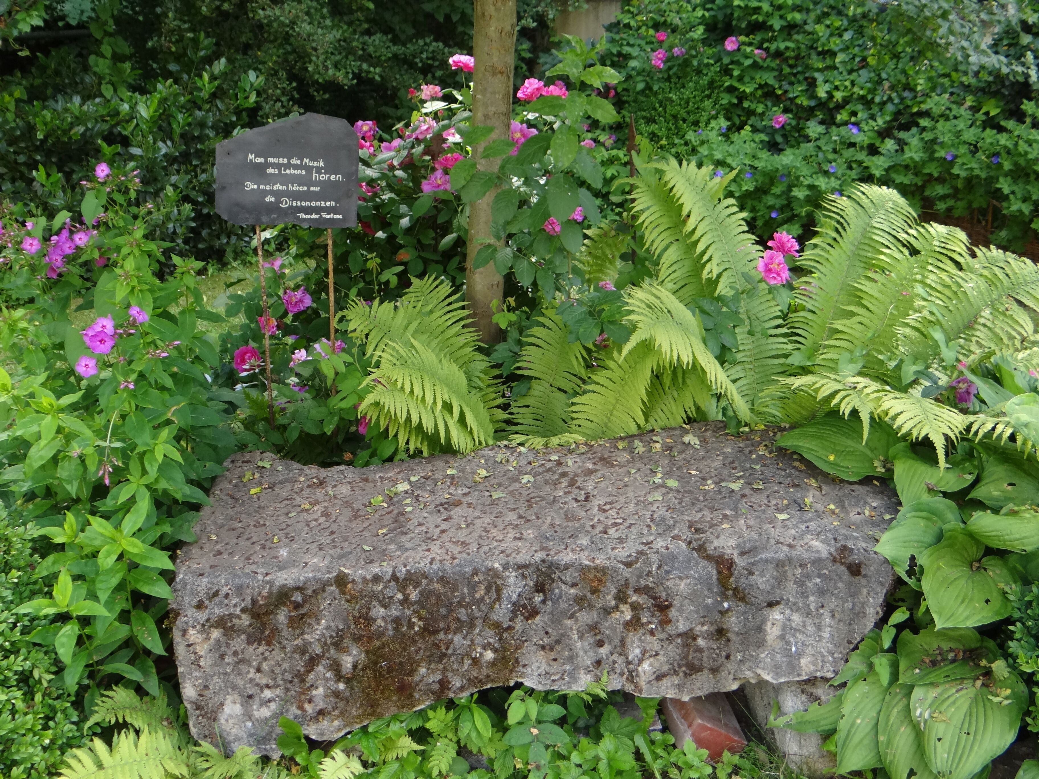 A garden with a large rock, ferns, and pink flowers.
