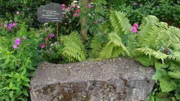 A garden with a large rock, ferns, and pink flowers.