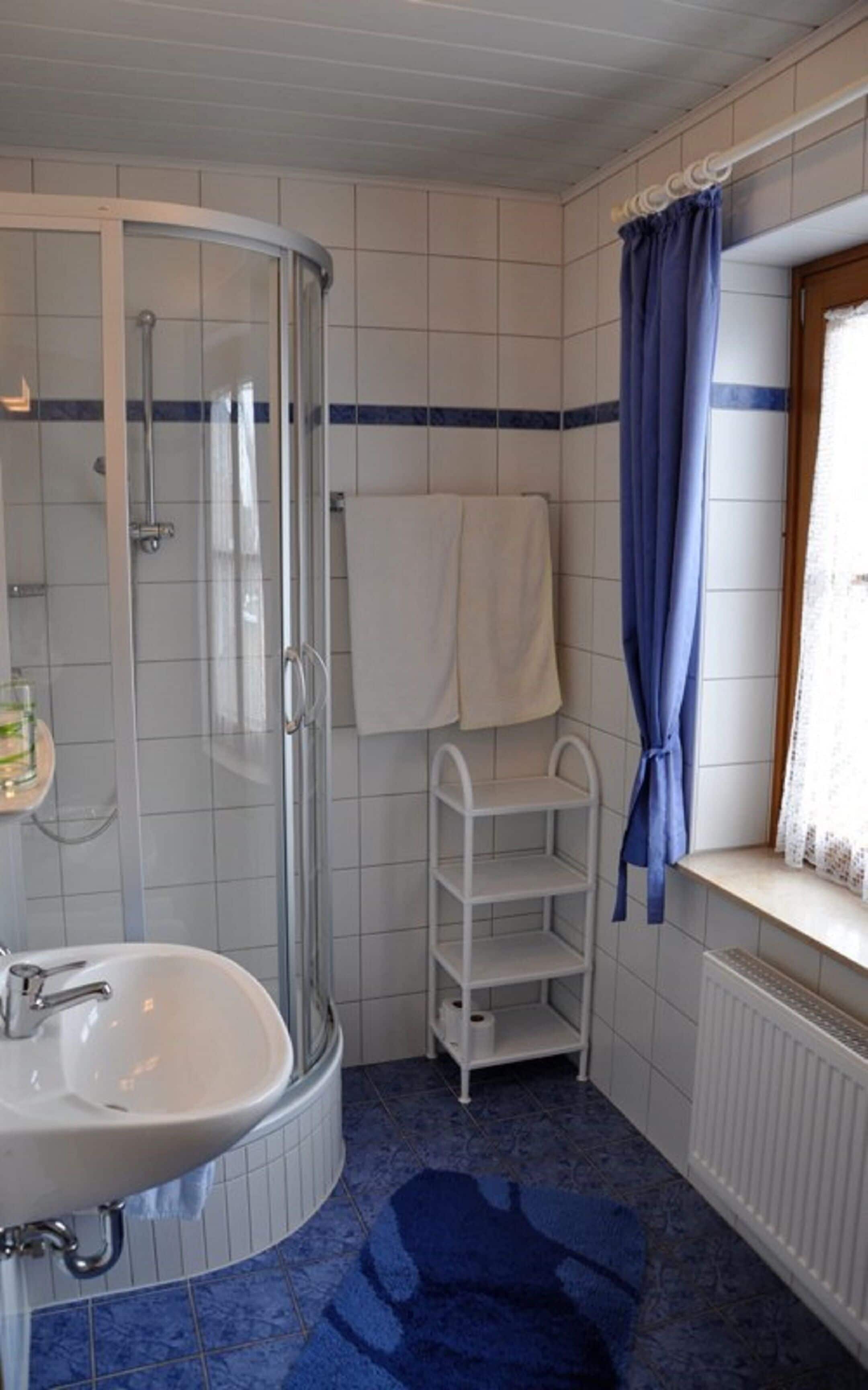 Habitación doble | Baño | Ducha y toallas