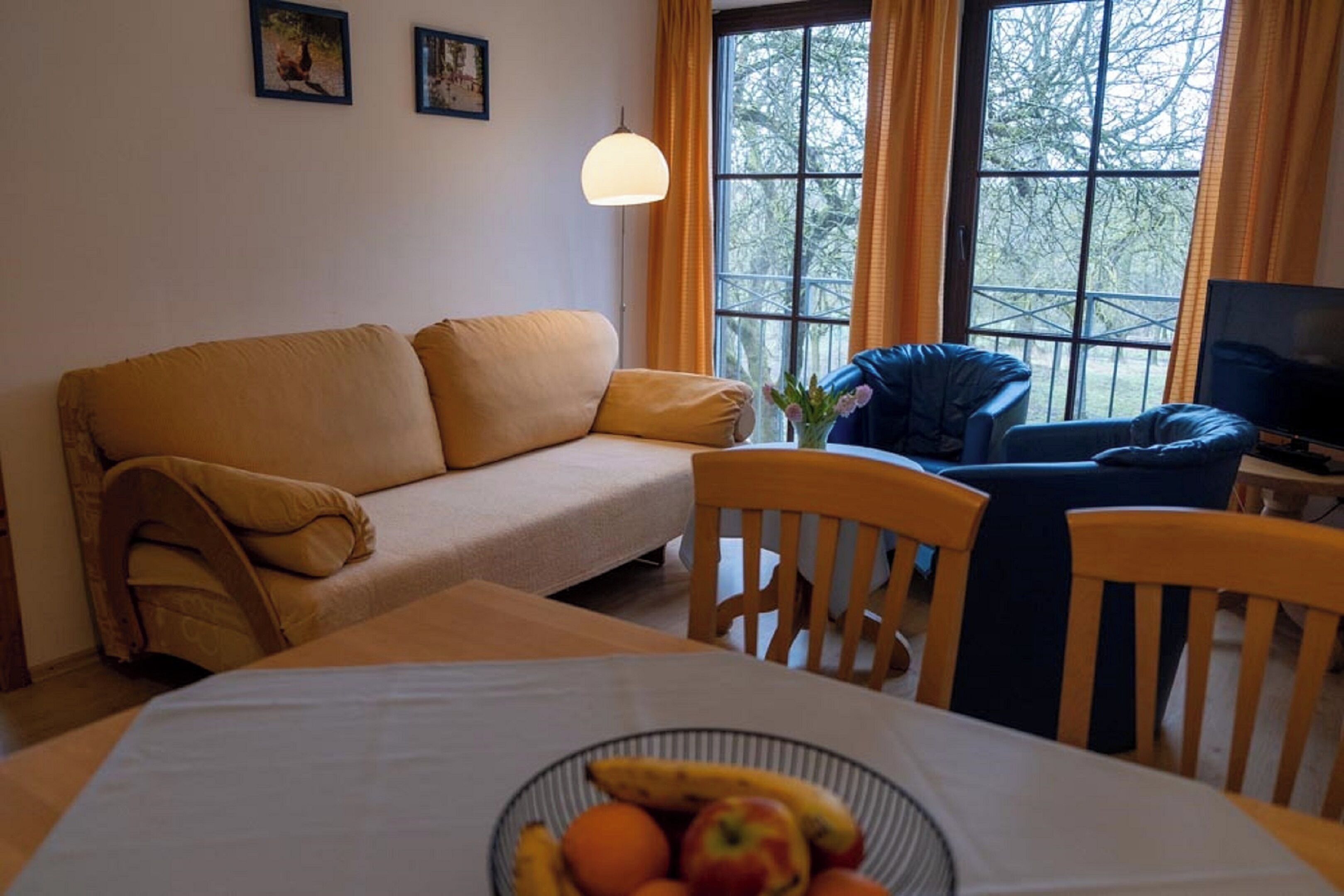 Apartment | Living area | TV