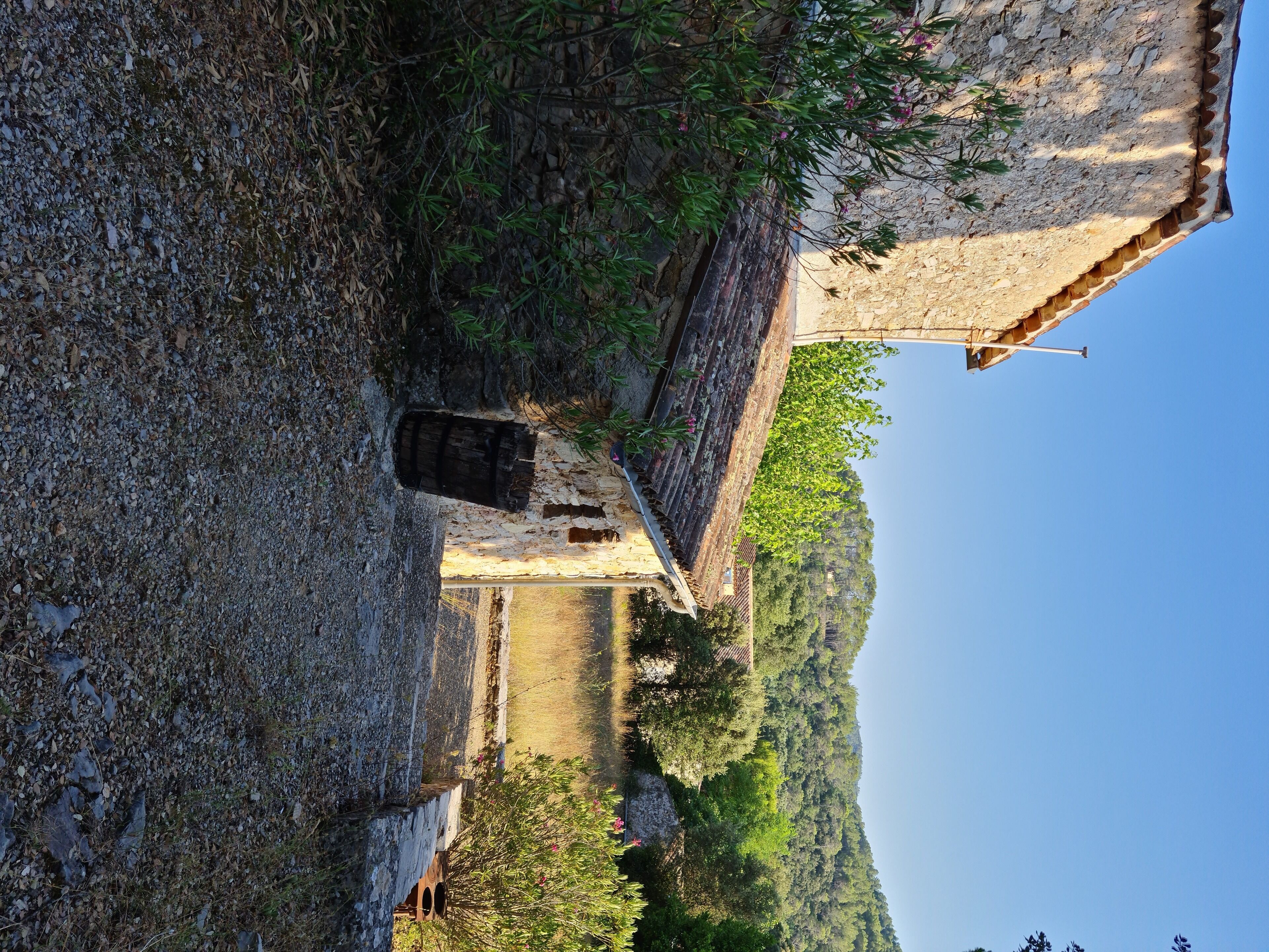 Eine Steinsbrücke mit einem schmalen Pfad, umgeben von viel Grün und blauem Himmel.