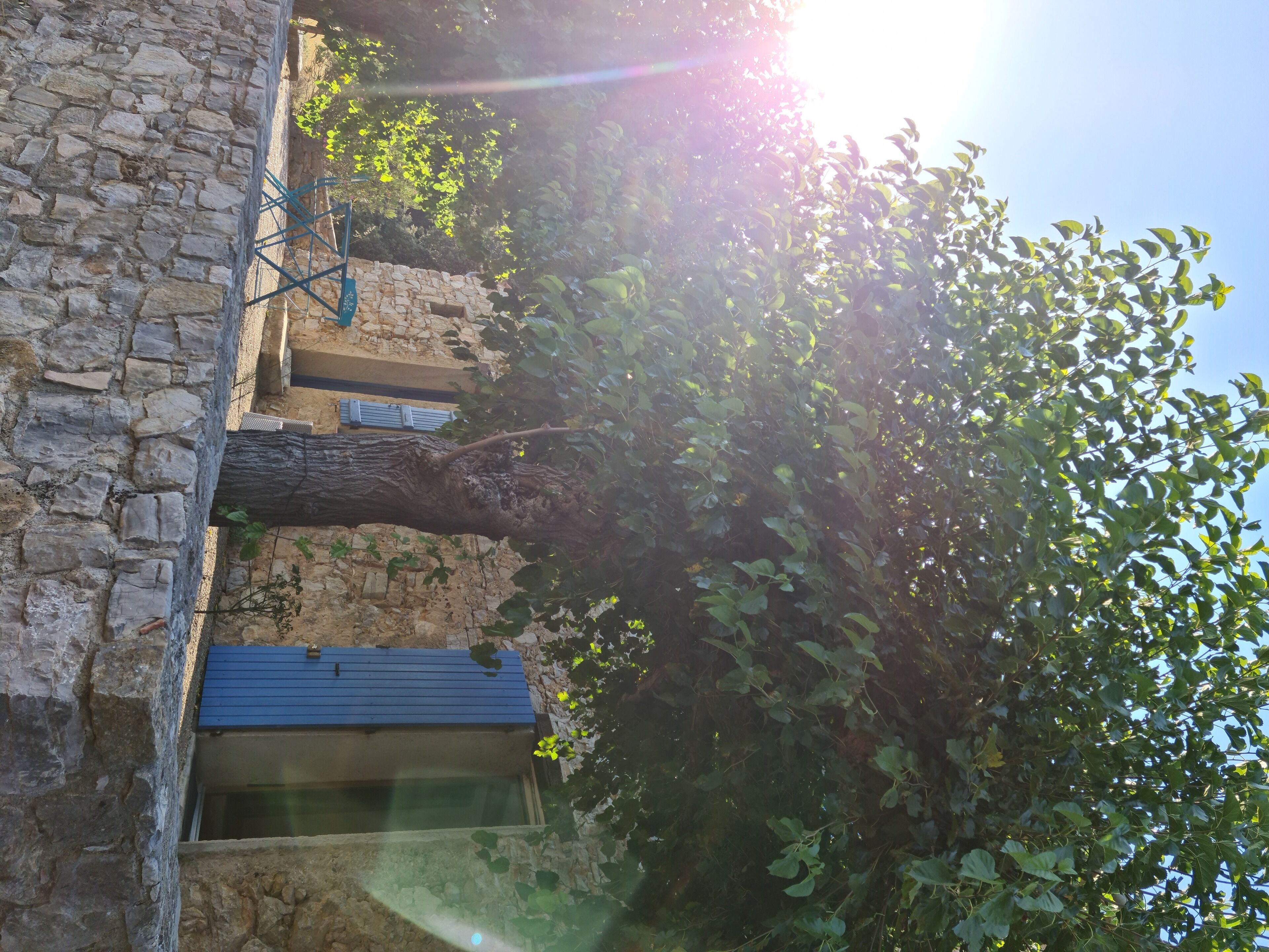 A stone building with a blue door, a tree in front, and a clear sky.